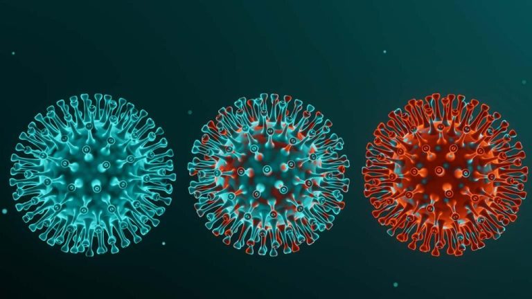 universidad de los andes