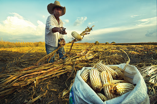 centro universitario
