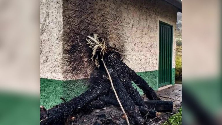 xr:d:DAFZfDZ07EQ:785,j:4460092260010040235,t:23091223