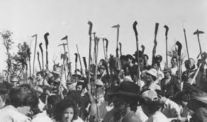 agencia prensa rural