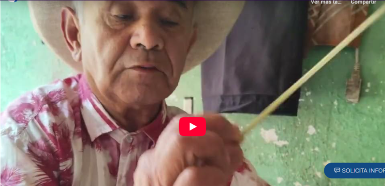 Captura de pantalla 2026-01-21 203932