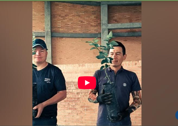 Captura de pantalla 2026-01-27 205802