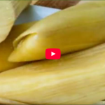 Captura de pantalla 2026-02-09 213924