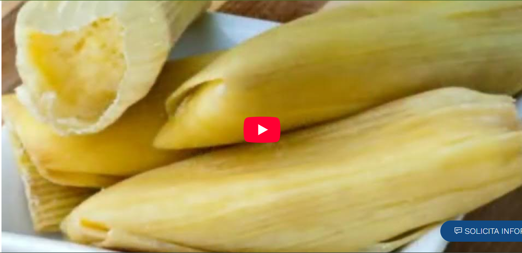 Captura de pantalla 2026-02-09 213924