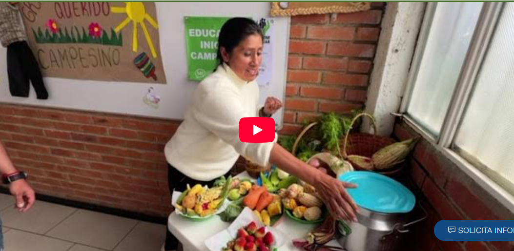 Captura de pantalla 2026-02-11 221620