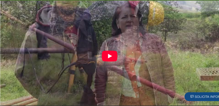 Captura de pantalla 2026-02-12 212103