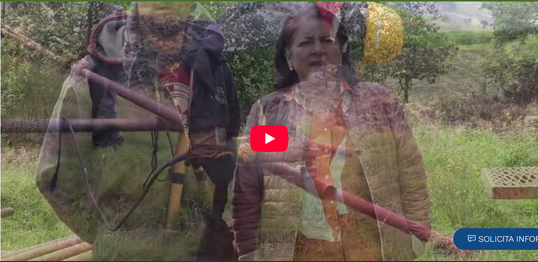 Captura de pantalla 2026-02-12 212103