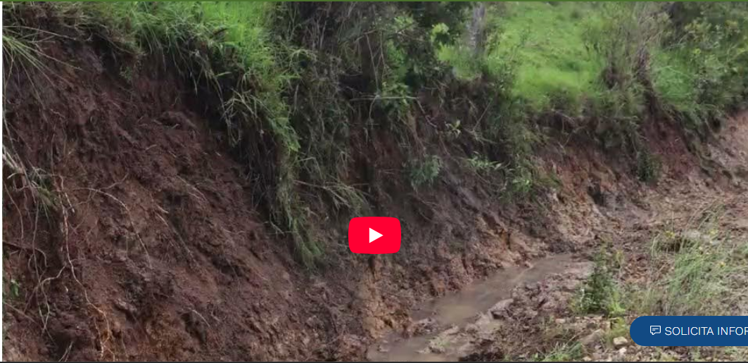 Captura de pantalla 2026-02-15 202149