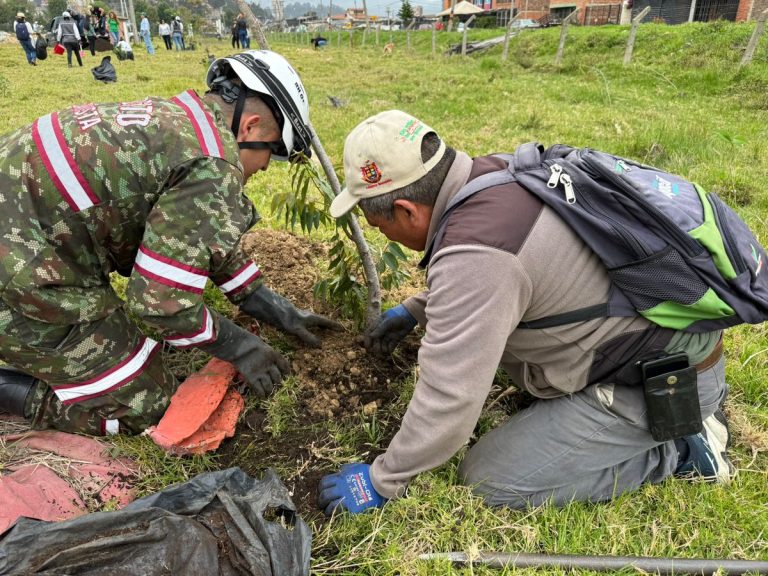 Ingenieros Militares
