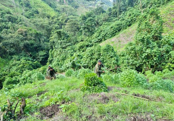 WhatsApp Image 2026-04-07 at 7.42.08 PM