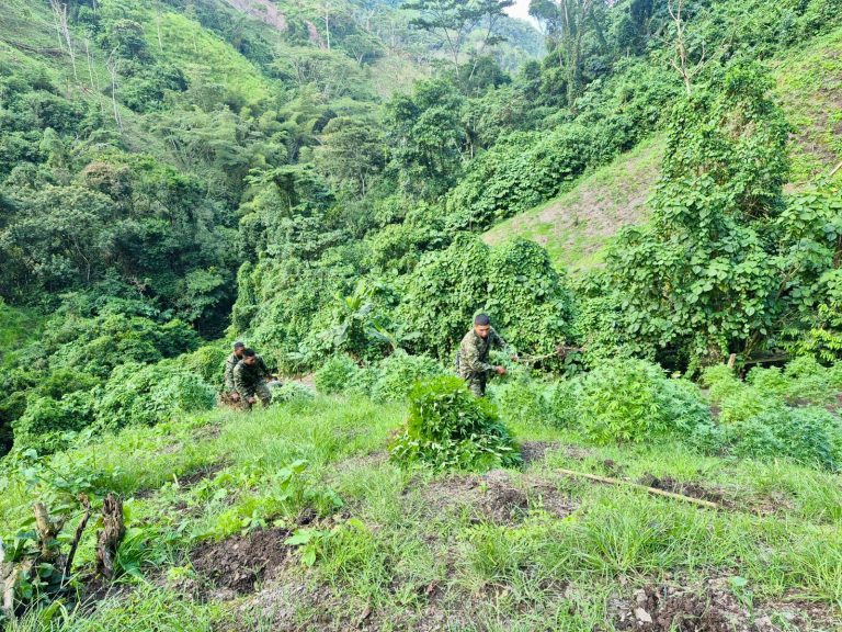 WhatsApp Image 2026-04-07 at 7.42.08 PM