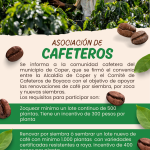 Coper