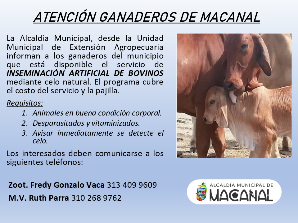 Macanal