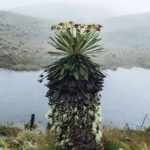 Noticas Día a Día