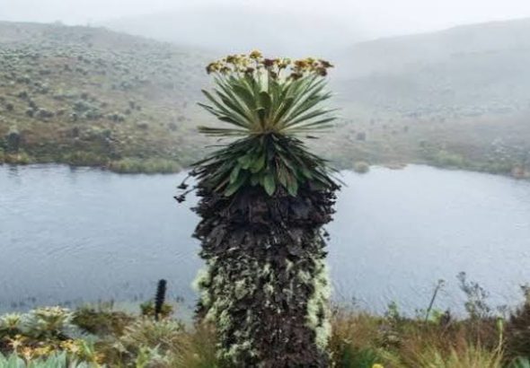 Noticas Día a Día