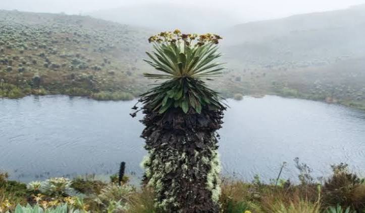 Noticas Día a Día