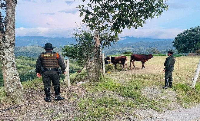 Policía Nacional