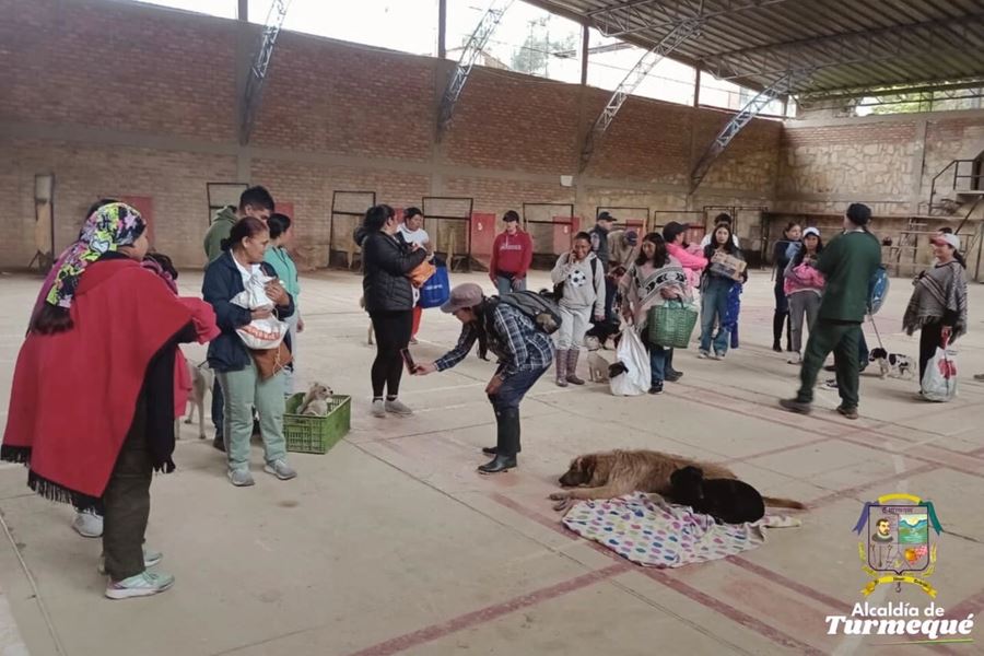 Turmequé