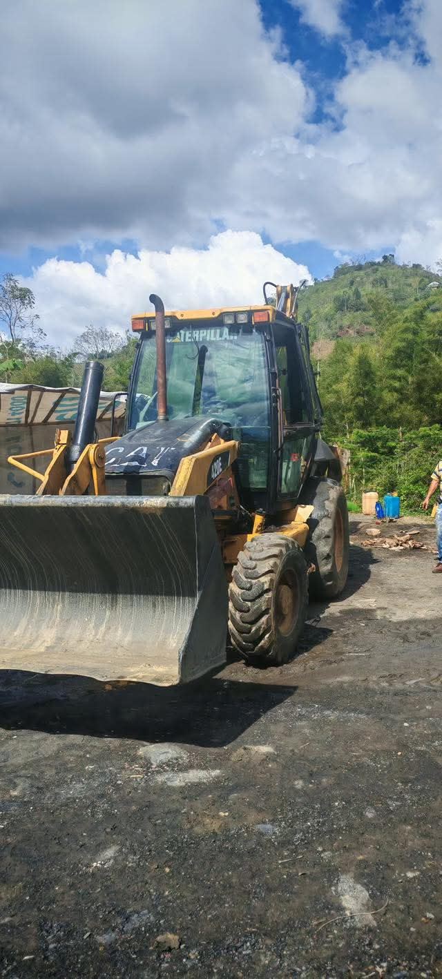 Pauna