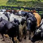 AgroLatam