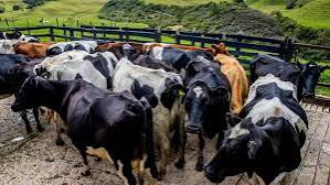 AgroLatam