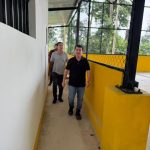 Pauna