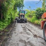 Pauna