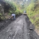Pauna