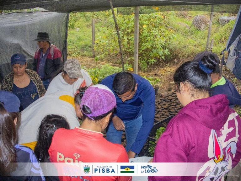 Pisba