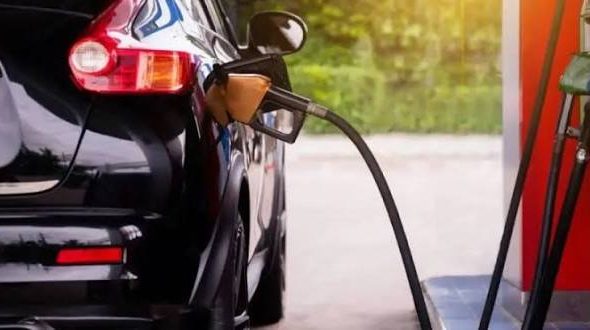 Portafolio